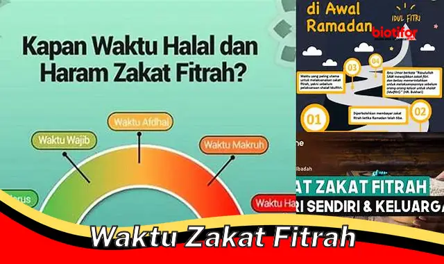 Waktu Tepat Tunaikan Zakat Fitrah: Panduan Lengkap