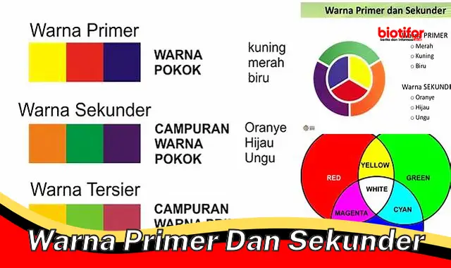 Kenali Warna Primer dan Sekunder: Dasar Teori Warna - Biotifor