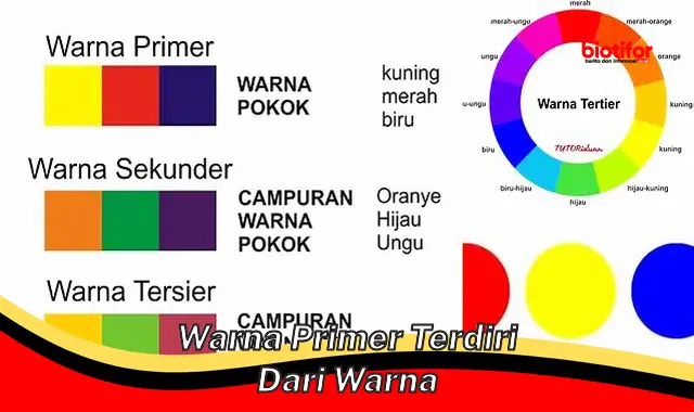 Pahami Rahasia Warna Primer: Dasar dari Semua Warna!