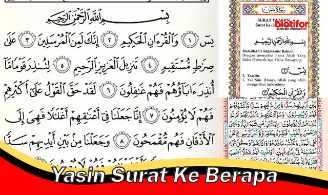 Urutan Surat Yasin dalam Al-Qur'an: Panduan Lengkap