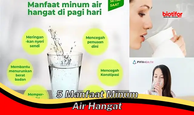 5 manfaat minum air hangat