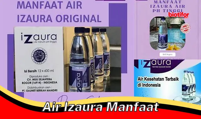 air izaura manfaat