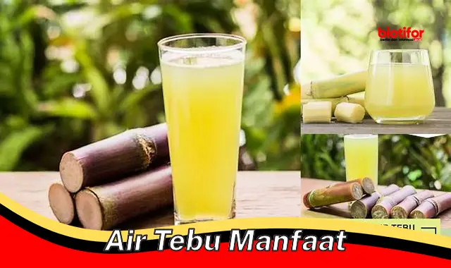 air tebu manfaat