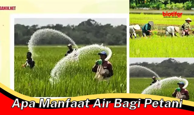 apa manfaat air bagi petani