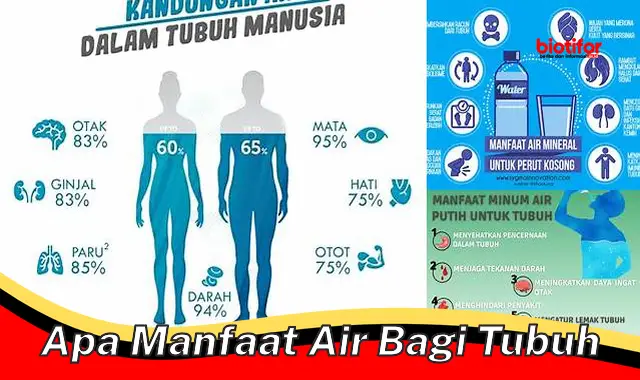 apa manfaat air bagi tubuh