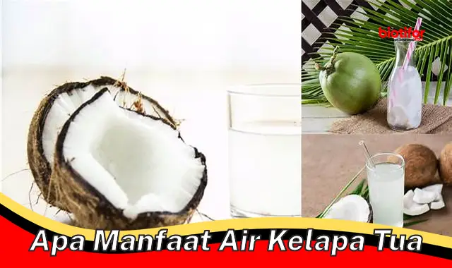 apa manfaat air kelapa tua