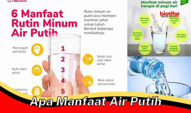 apa manfaat air putih