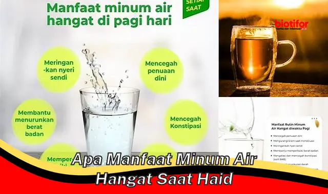 apa manfaat minum air hangat saat haid