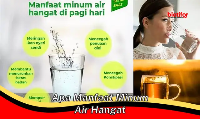 apa manfaat minum air hangat