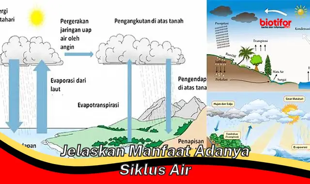 Temukan Manfaat Menakjubkan dari Siklus Air yang Jarang Diketahui