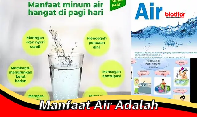 manfaat air adalah