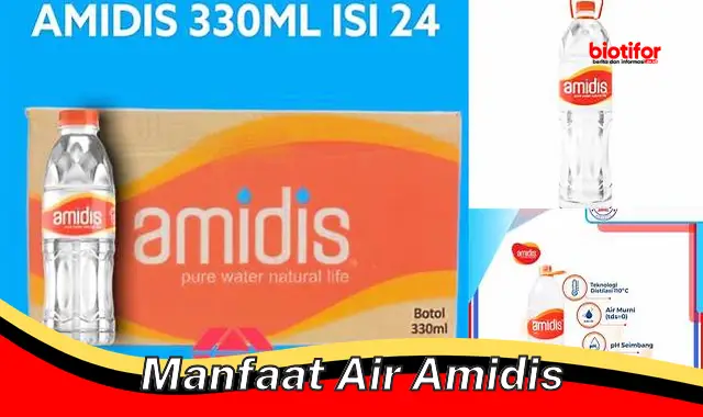 manfaat air amidis