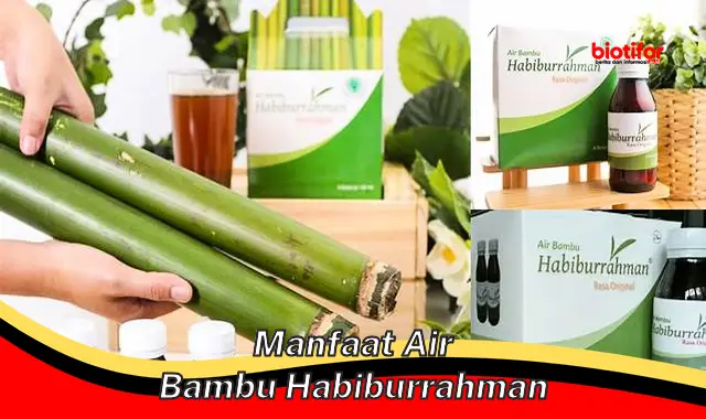 manfaat air bambu habiburrahman