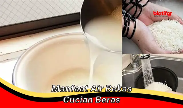 manfaat air bekas cucian beras