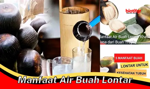 manfaat air buah lontar