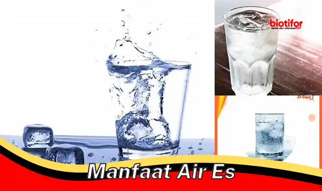 manfaat air es