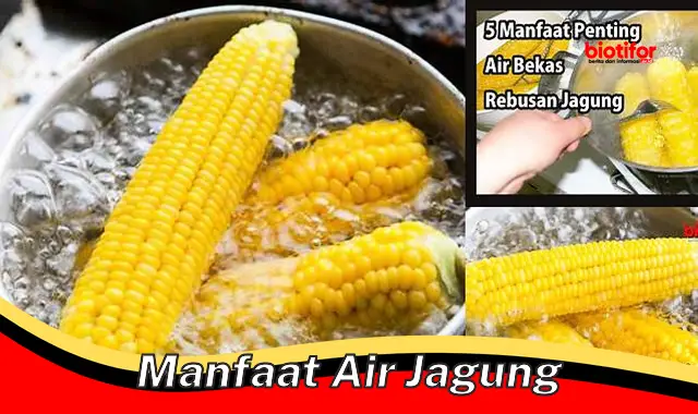 manfaat air jagung