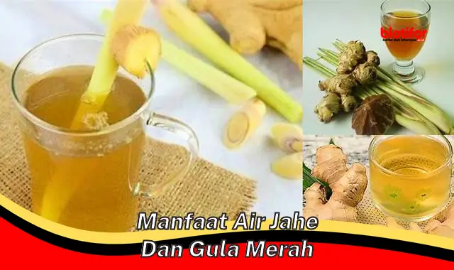 manfaat air jahe dan gula merah