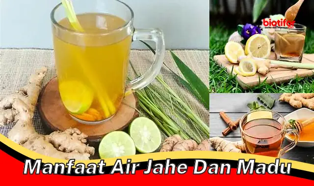 Temukan Rahasia Air Jahe Campur Madu yang Belum Banyak Diketahui