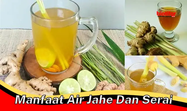 manfaat air jahe dan serai