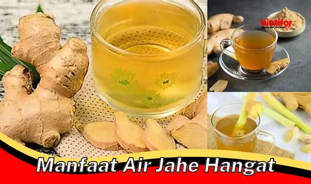 manfaat air jahe hangat