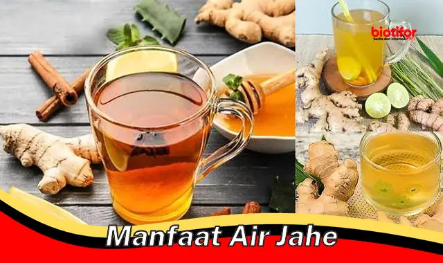 manfaat air jahe