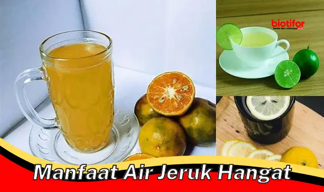 manfaat air jeruk hangat