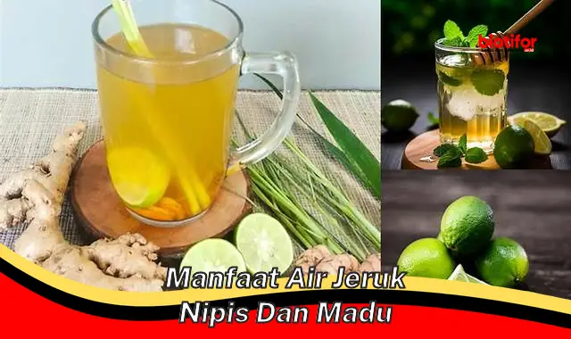 manfaat air jeruk nipis dan madu