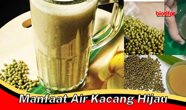 manfaat air kacang hijau