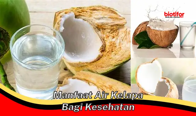 manfaat air kelapa bagi kesehatan