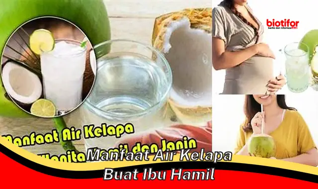 manfaat air kelapa buat ibu hamil