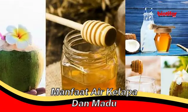 manfaat air kelapa dan madu