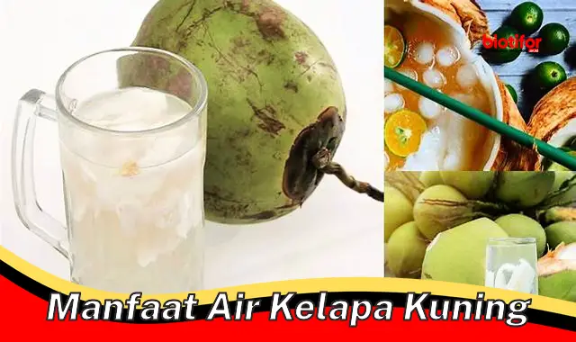 manfaat air kelapa kuning