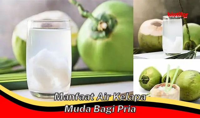 manfaat air kelapa muda bagi pria