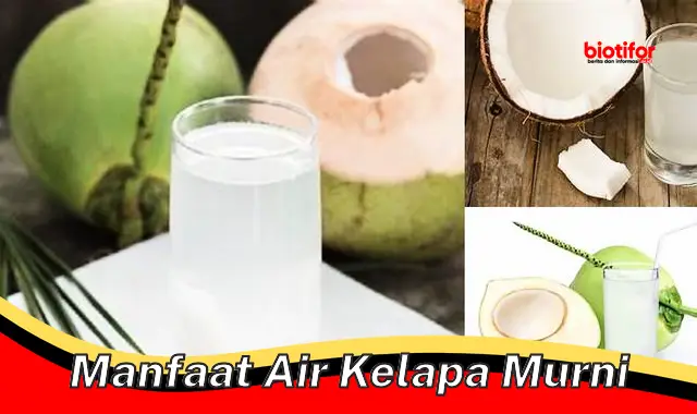 manfaat air kelapa murni