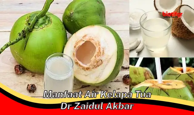 manfaat air kelapa tua dr zaidul akbar