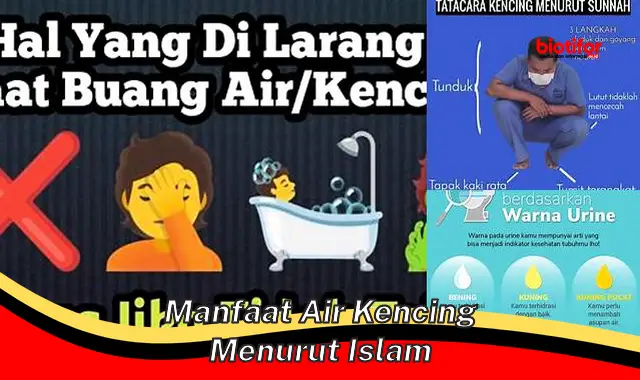 manfaat air kencing menurut islam