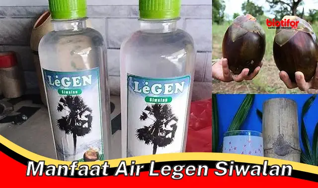 manfaat air legen siwalan