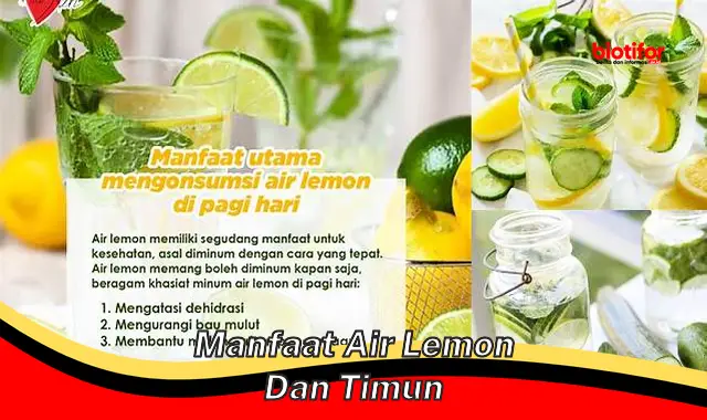 manfaat air lemon dan timun