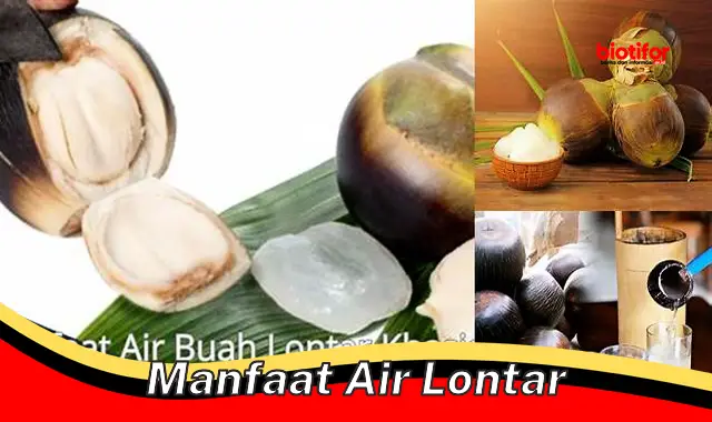 Temukan Manfaat Air Lontar yang Jarang Diketahui