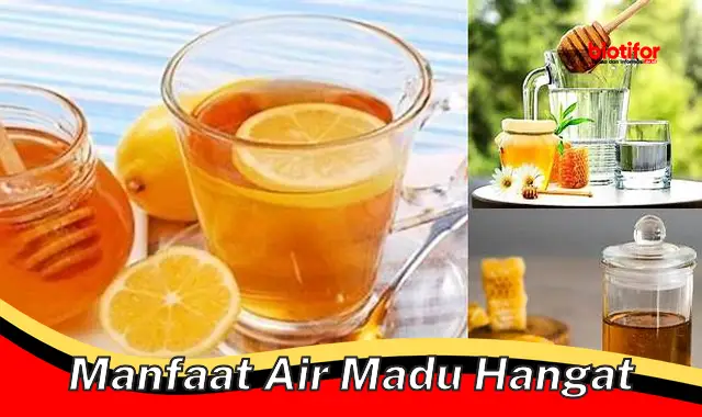 manfaat air madu hangat