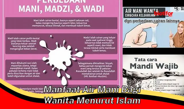 manfaat air mani bagi wanita menurut islam