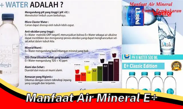 manfaat air mineral e+