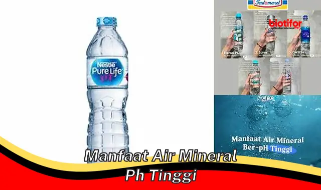 manfaat air mineral ph tinggi