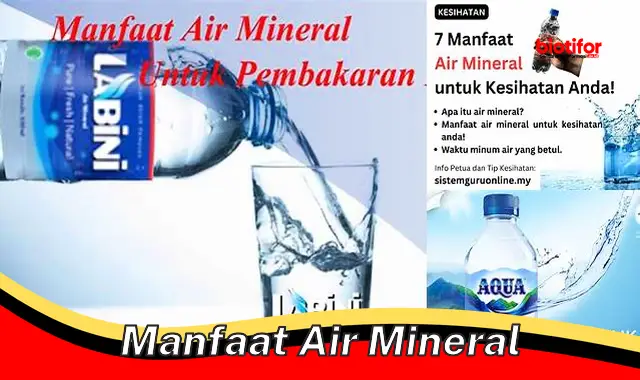 Temukan Manfaat Air Mineral yang Jarang Diketahui - Biotifor