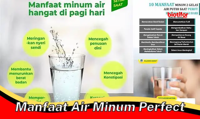 manfaat air minum perfect