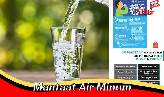 manfaat air minum