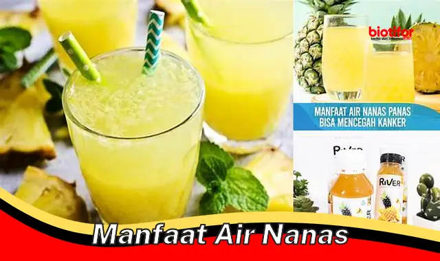 manfaat air nanas