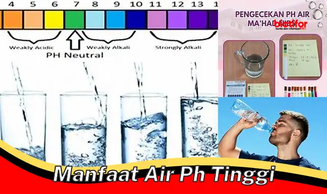 manfaat air ph tinggi