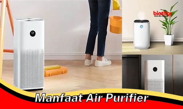 manfaat air purifier